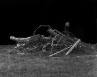 61_jouretombrehd005.jpg
